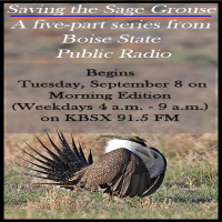Saving The Sage Grouse: Fighting Wildfire To Defend A Species