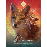Angel Messages For August 24th to 31st from the Spirit Animal Oracle