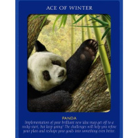 Angel Messages for March 3rd to 10th: Theres Magic In The Air