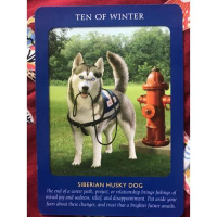 Messages For August 31st to September 7th: Trust in a brighter future!