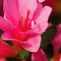 The Global Equinox: New Beginnings with the Angels