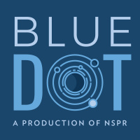 Blue Dot: Bird conservation success stories with Scott Weidensaul