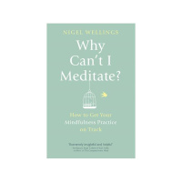 Nigel Wellings - Why Cant I Meditate ? Live on LOVE Cafe with Scott Cluthe