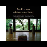 Yoga Master Rolf Gates-Meditations on Intention and Being in The LOVE Cafe
