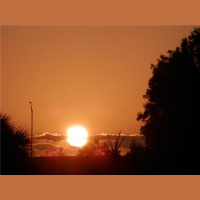 Daniels Dash 5K For Concussion Awareness with Guest Co-Host David Brett