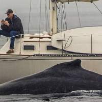 A parábola do juiz iníquo - Lucas cap 18