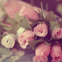 Cassiane na Nazareno de Campinas