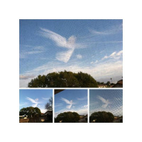 DO YOU OVERLOOK THE SIGNS FROM LOVED ONES TRYING TO SEND YOU FROM HEAVEN ?