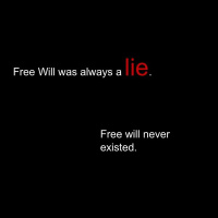 Why Free Will is a Lie