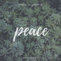 12/18/2016 Genesis 3:8-15
