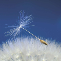 Encounters — A family physician says farewell to her practice