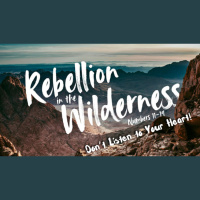 Rebellion In the Wilderness Pt.5 - Don’t Follow your Heart!