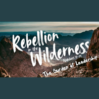 Rebellion In the Wilderness Pt.2 - The Burden of Leadership