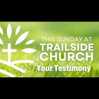 Your Testimony