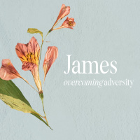 James: Maturing in Wisdom