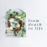 From Death to Life | Theology of the Cross Pt. 3