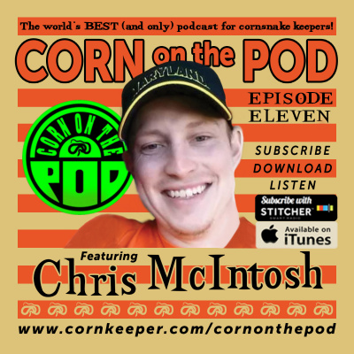 Corn On The Pod