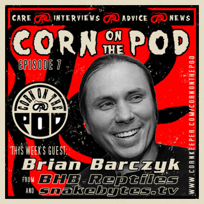 Corn On The Pod