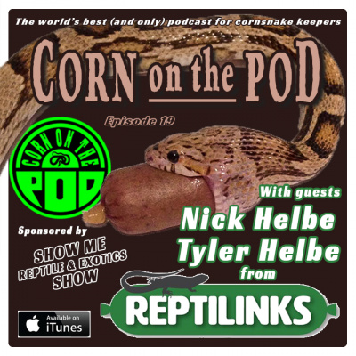 Corn On The Pod