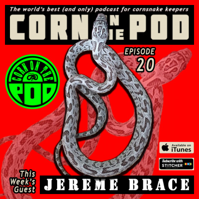 Corn On The Pod