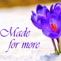 [Womens Days] Made for More part 1 - Ephesians 1