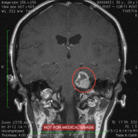 Babes Alive: Brittany Bushnell