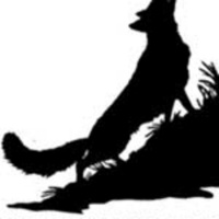 Wolf Hollow