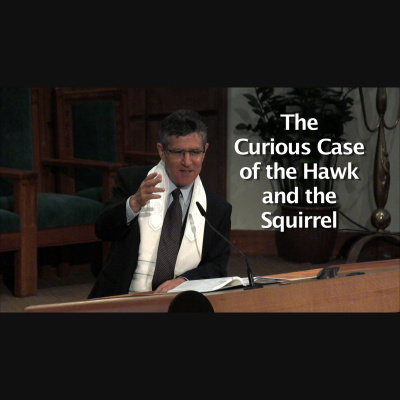 Rabbi Ammiel Hirsch Of Stephen Wise Free Synagogue