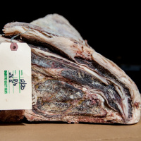PODCAST: Old Beef