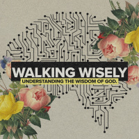 Walking Wisely: Week 1