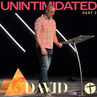 David 2: Unintimidated