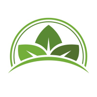 Growing Through Discipleship