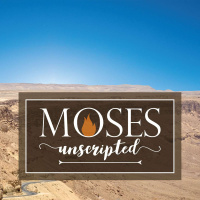 Moses Unscripted: Season 5 Episode 3 (Mississauga)