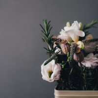 Mothers Day- What I Learned From Jesus About How To Treat My Mom! (Streetsville)