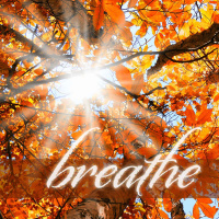 Breathe: Transformed (Mississauga)