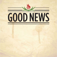 Good News: Homeless (PORTICO Milton)