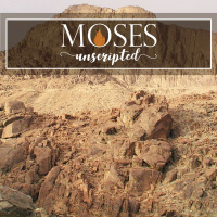 Moses Unscripted: Season 2 Episode 3 (Mississauga)