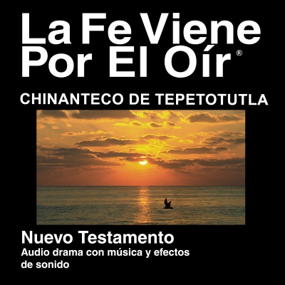 Chinanteco de Tepetotula Biblia - Chinanteco de Tepetotula Bible