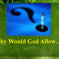 Why Would God Allow...?