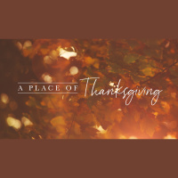 A Place of Thanksgiving :: Part 1:: Pastor Stephen Wescott - Audio
