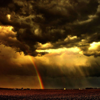 Praise Him In The Storm