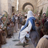 Hosanna!