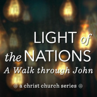 John Lawler | Confronted by the Son | John 8.12, 30-59