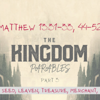 Episode 211: Matthew 13:31-33, 44-52 Kingdom Parables Part 3