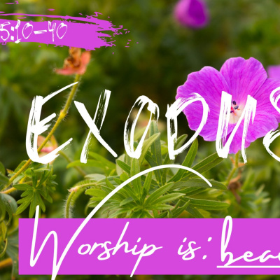 Calvary Chapel San Ramon Podcast