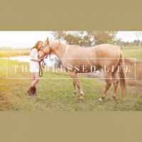 The Good News - Audio