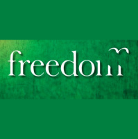 I Dont Love Robots Because Freedom Is Like An Onion - Audio