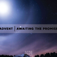 ADVENT : Awaiting the Promise : The Posture of Waiting