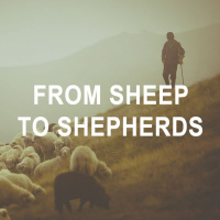 From Sheep to Shephards