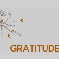 Gratitude Pt. 1 - Audio